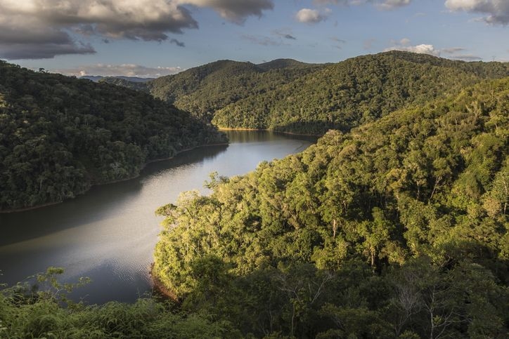Brazilië verliest in 40 jaar een natuurlijke vegetatie ter grootte van Bolivia