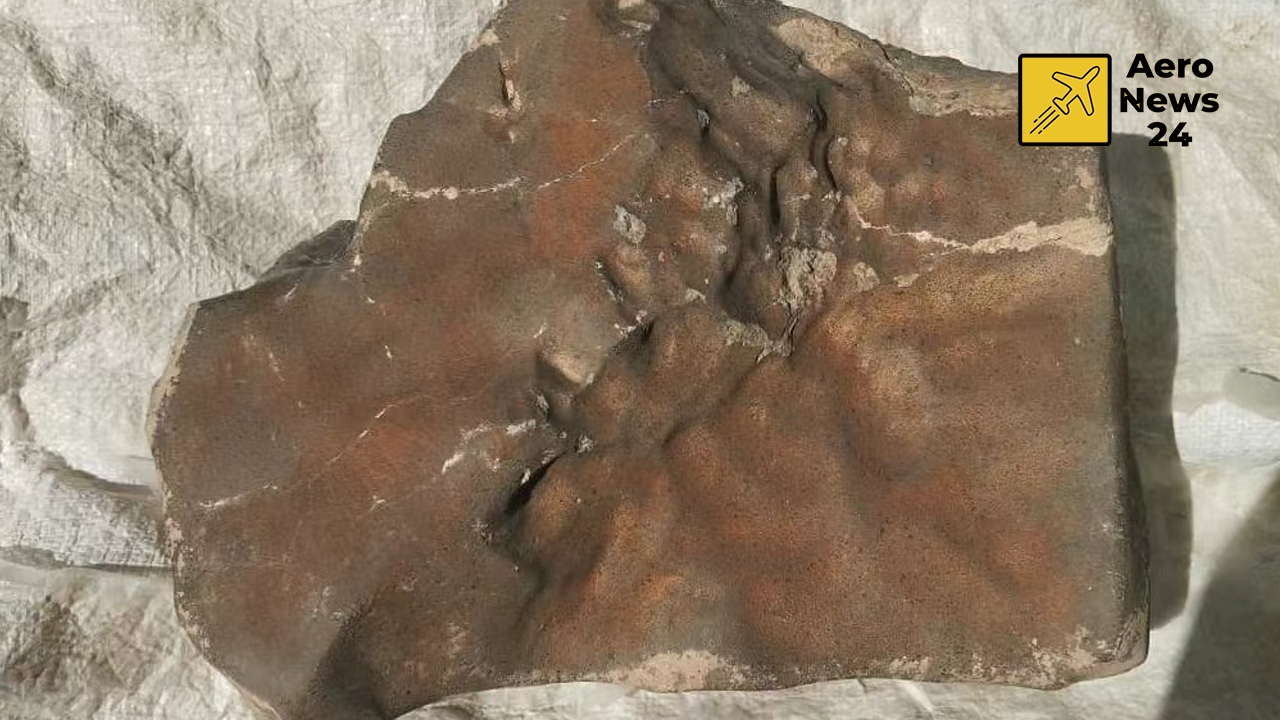 Mars’tan Gelen En Büyük Meteorit 5,3 Milyon Dolara Alıcı Buldu