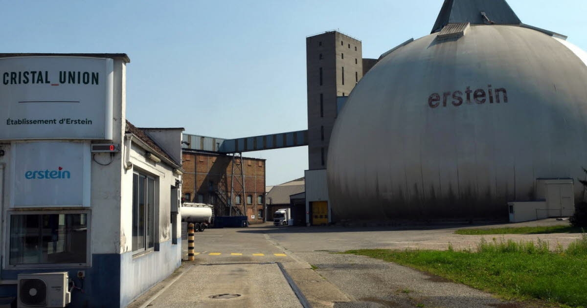 The great sagas of industry. 132 years ago, the Erstein sugar factory was born.