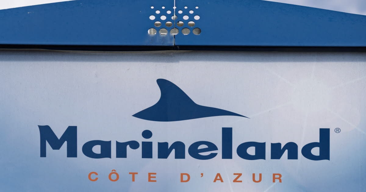 Alpi Marittime. Marineland: un video suscita preoccupazione e riaccende le polemiche sul destino delle orche