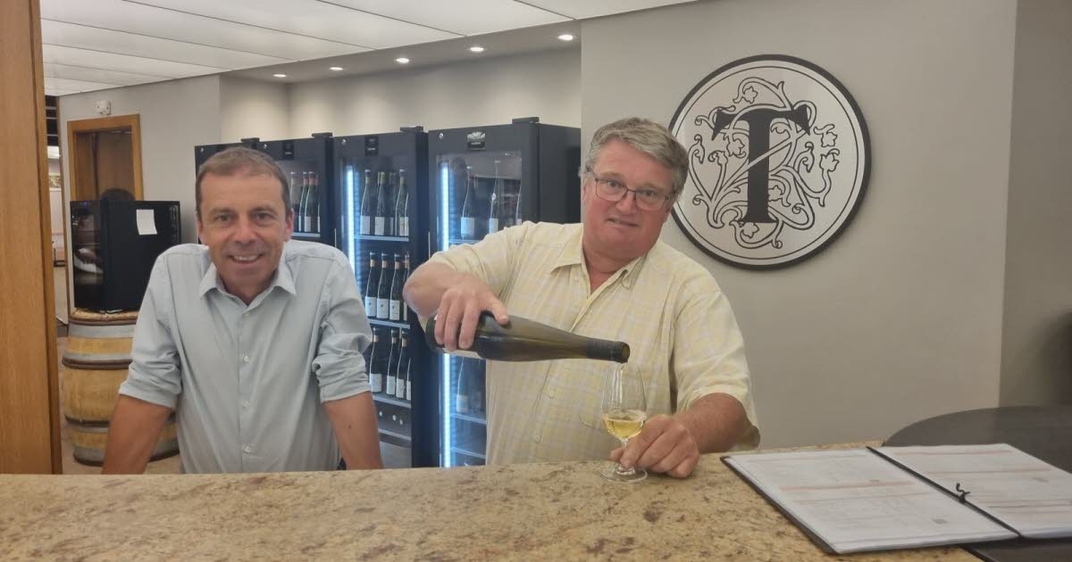 Turckheim. Cooperative wine cellar: 70 years of passion for wine