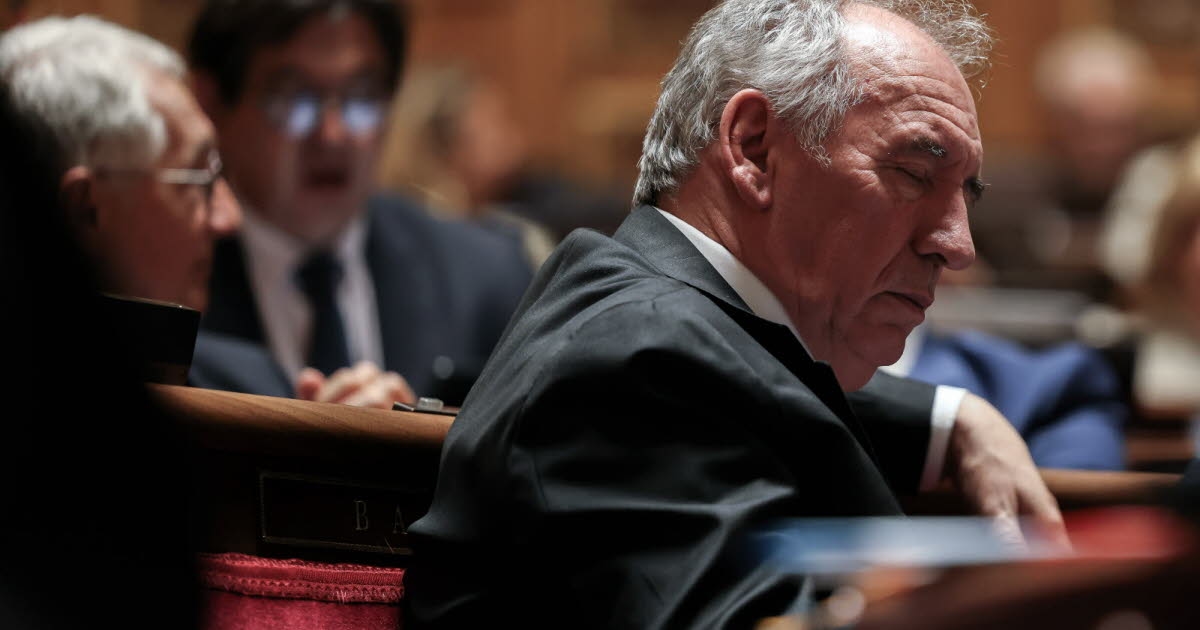 Gesundheit: François Bayrous Haushaltsrichtlinien bereiten der medizinischen Welt Sorgen