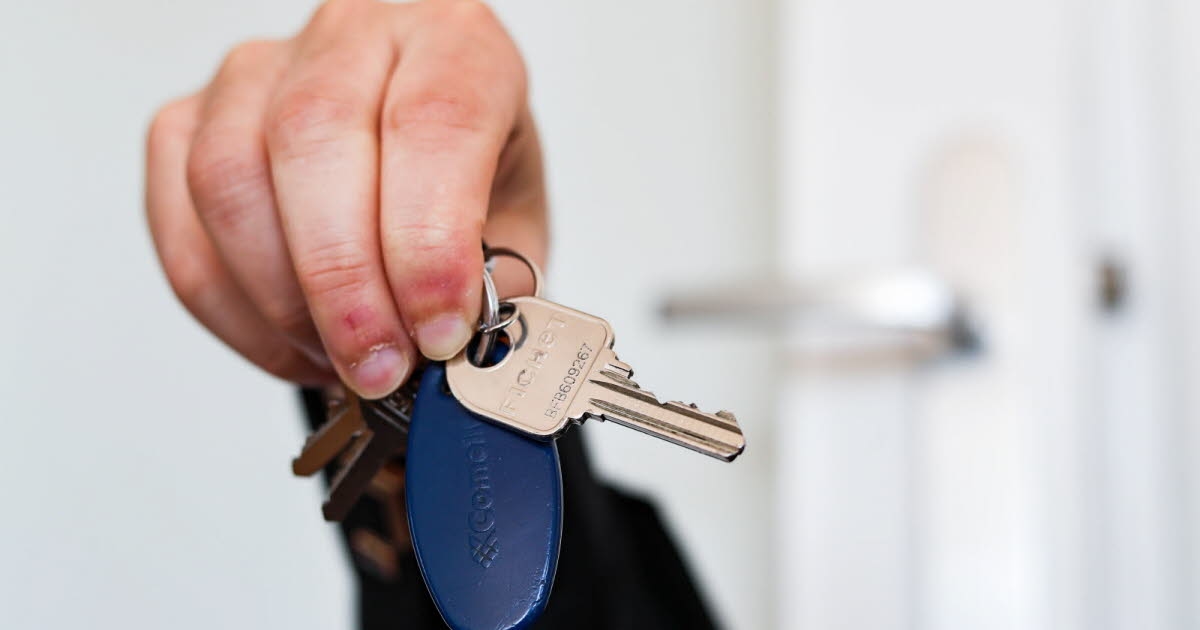 Daily life. "We had no choice": falsifying your file to rent, a risky practice