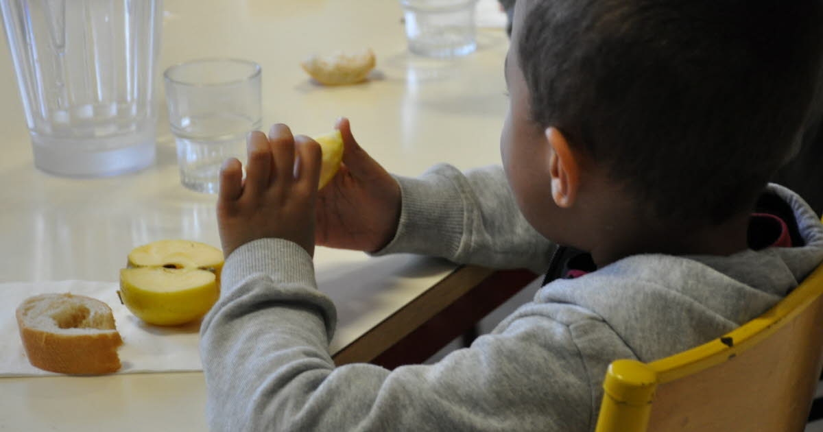 Saint-Usuge. Dois serviços de volta às aulas, refeições a € 1: uma novidade no refeitório escolar