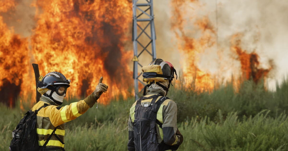 Espanha: Incêndios: Primeiro-ministro quer um "pacto nacional para enfrentar a emergência climática"