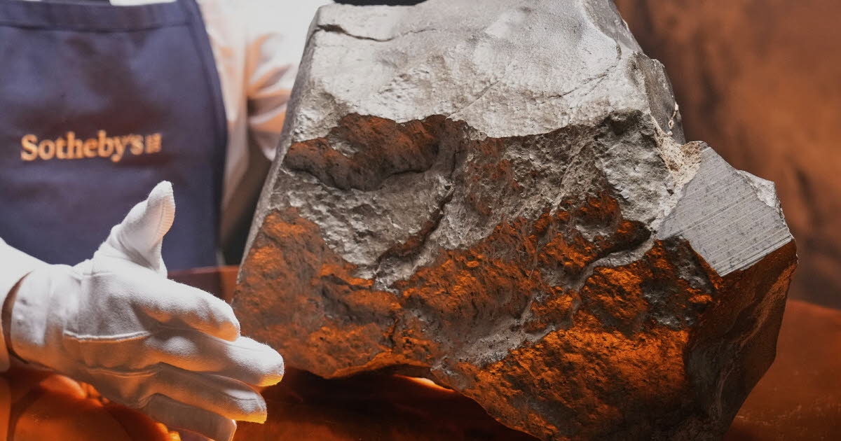 Uzay. Gökyüzünden düşen en büyük Mars meteoritinin sahibi kim?