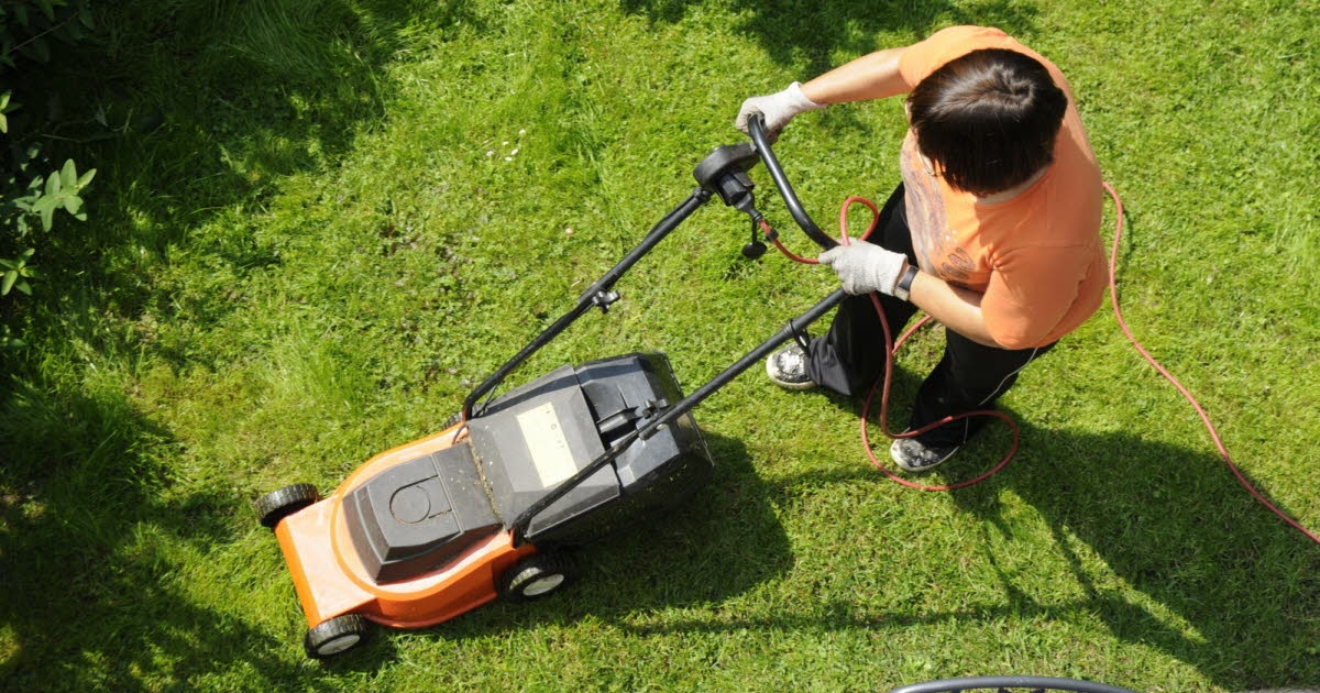 Consigli per il giardinaggio. I nostri consigli per eliminare le erbacce senza prodotti chimici!