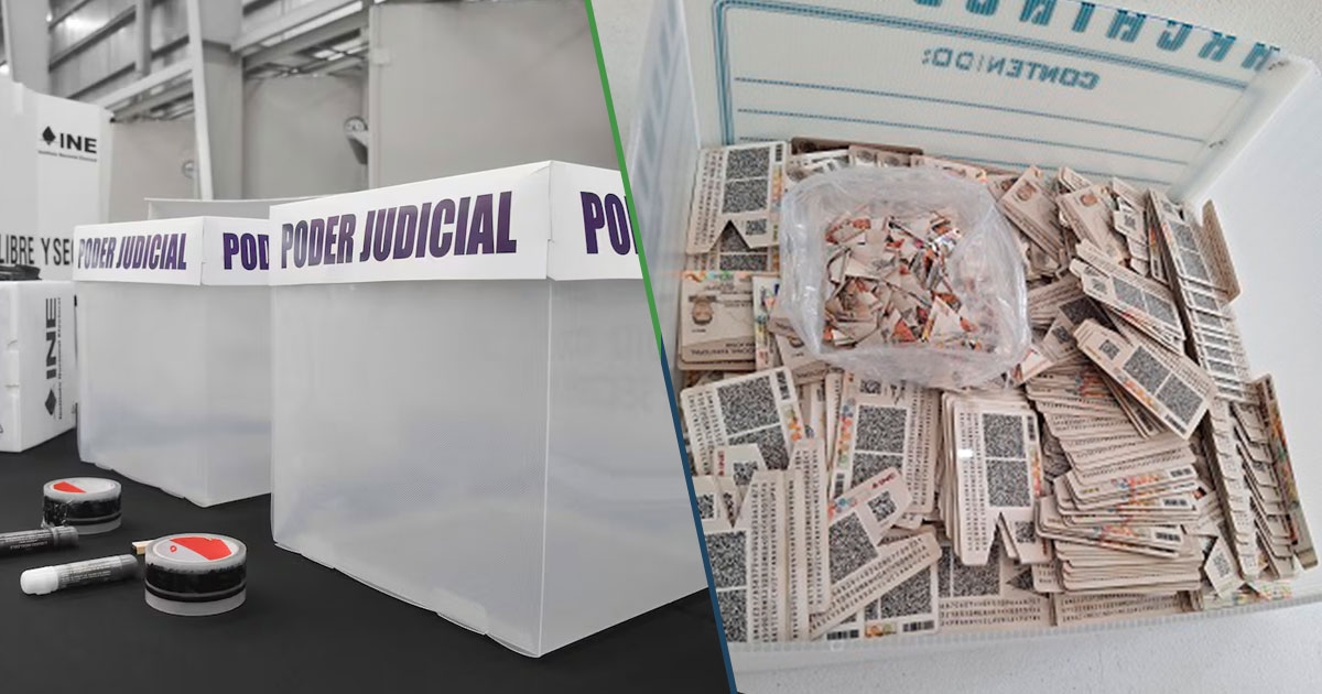 "L'INE verrà ritirato alle persone che non voteranno domenica": Governo