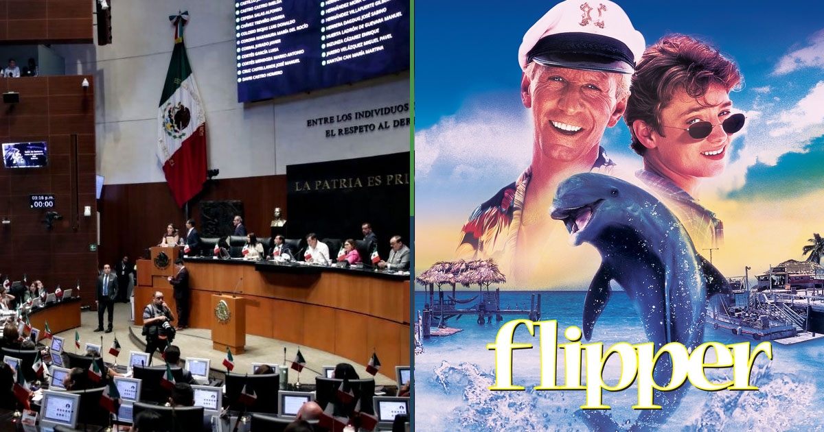Il Senato ordina il sequestro di tutti i film VHS e DVD di Flipper