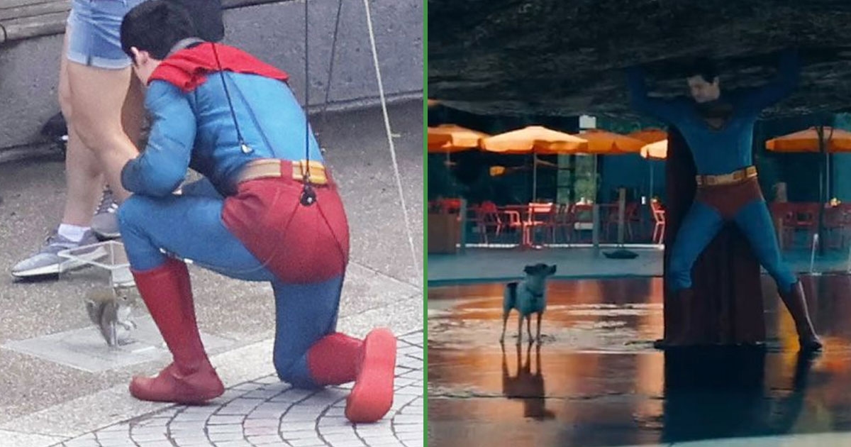 Zoólogos reconocen al nuevo Superman por haber salvado una ardilla