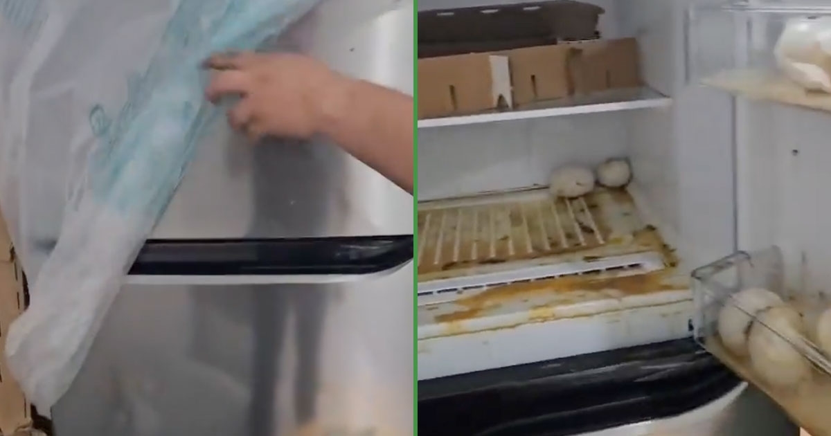 For breakfast: Liverpool delivers a new fridge with rotten eggs inside