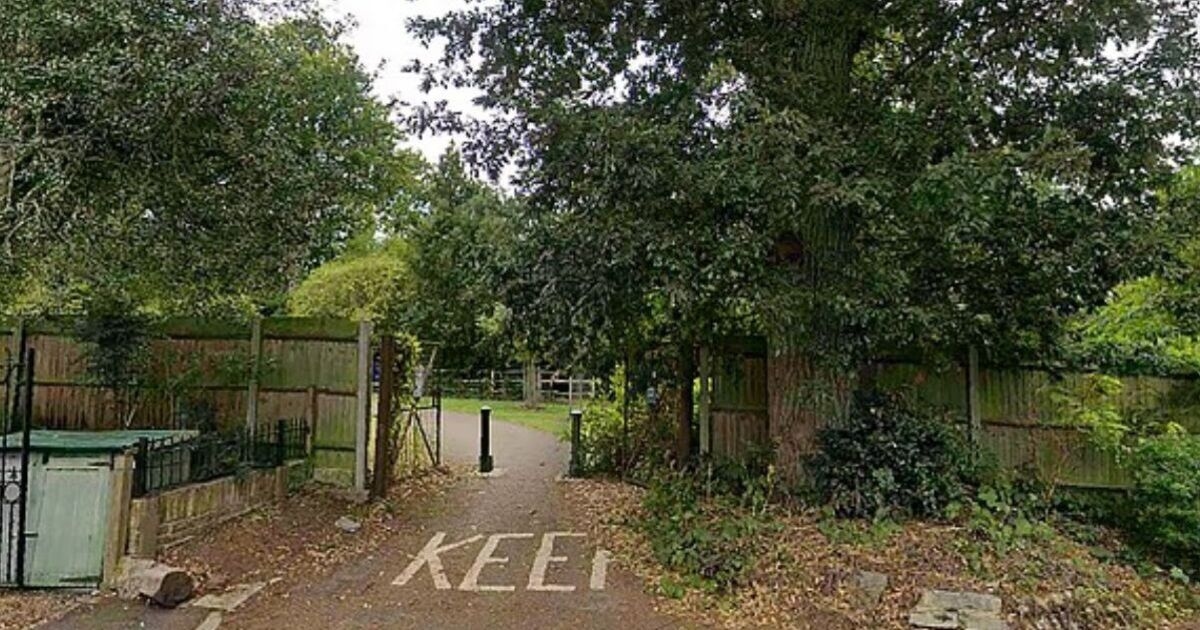 Londra'daki bir parkta genç kıza uyuşturucu verip tecavüz eden dört adam tutuklandı