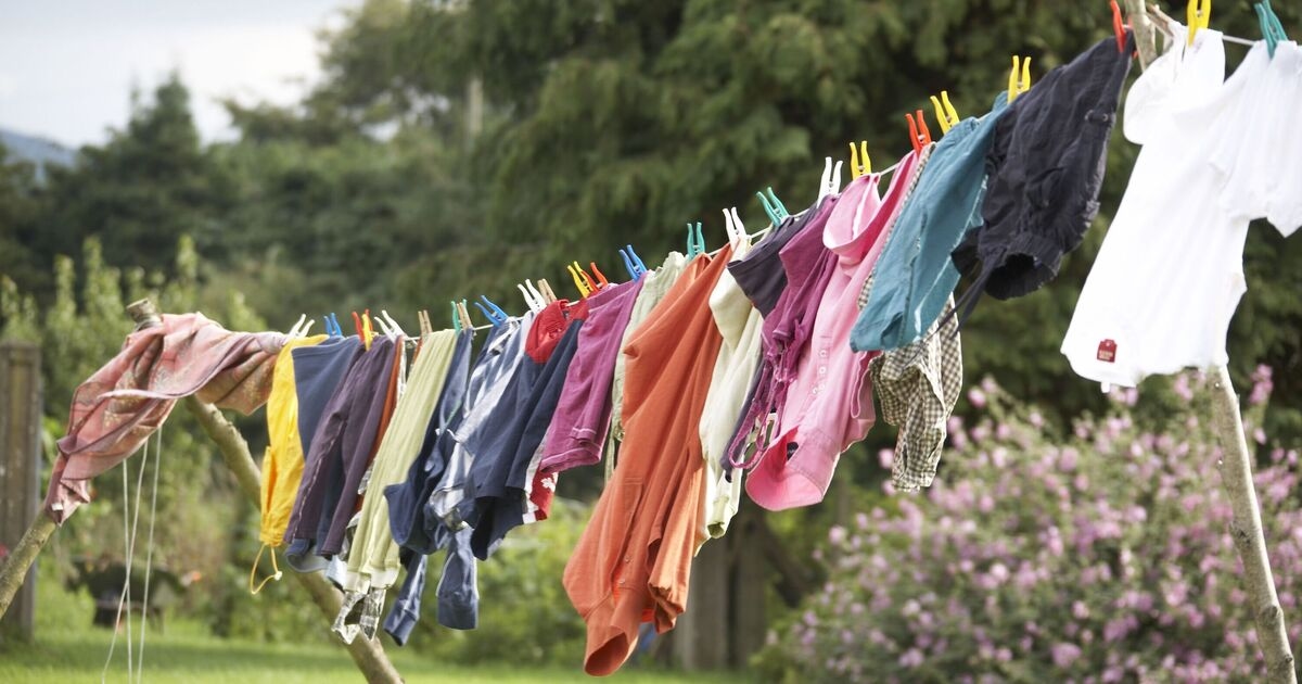 Families urged to stop using clothes pegs this summer