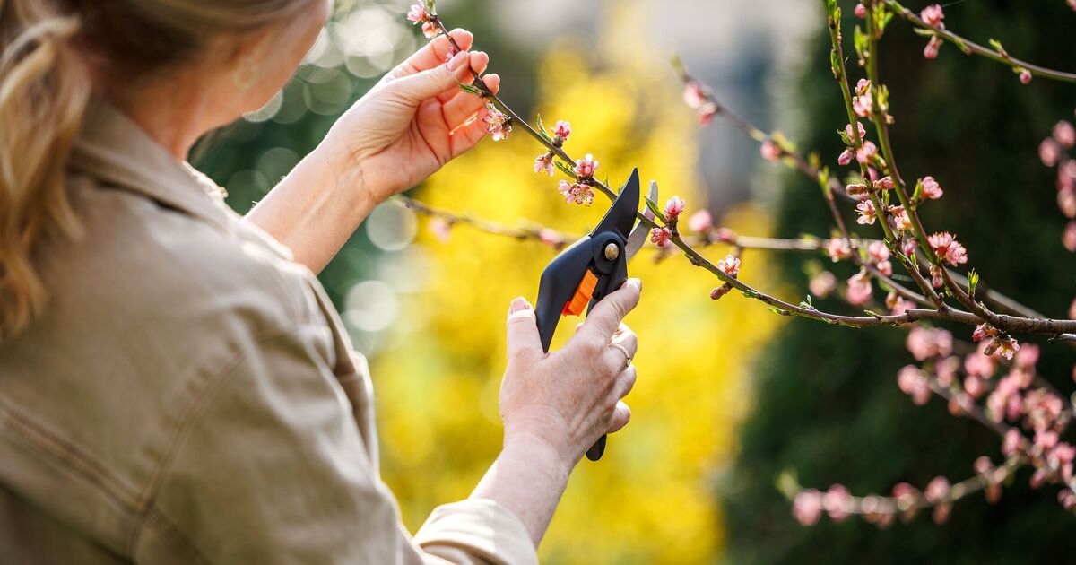 Studie: Frauen über 40 begegnen den Wechseljahren mit neuen Hobbys – von Gartenarbeit bis Tanzen