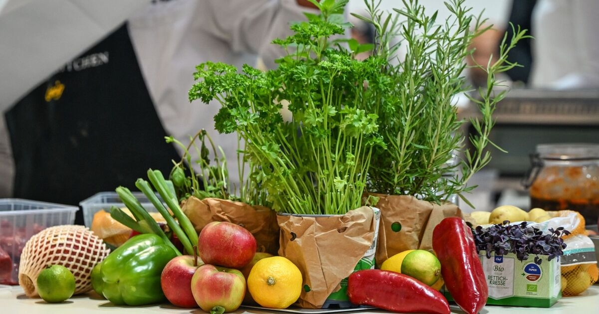 7 foods over-50s should be eating to stay healthy, according to experts