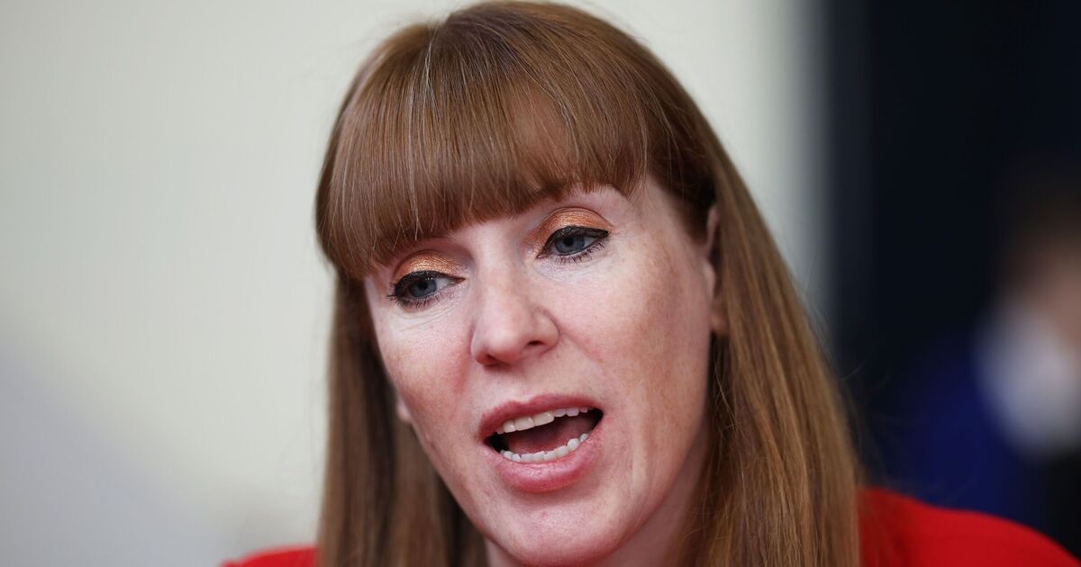 Angela Rayner's new labour laws 'will devastate' British businesses and UK economy