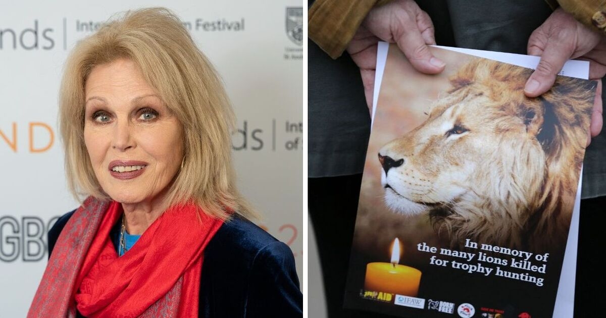 Dame Joanna Lumley „zszokowana” niepowodzeniem rządu w powstrzymaniu polowań trofeowych