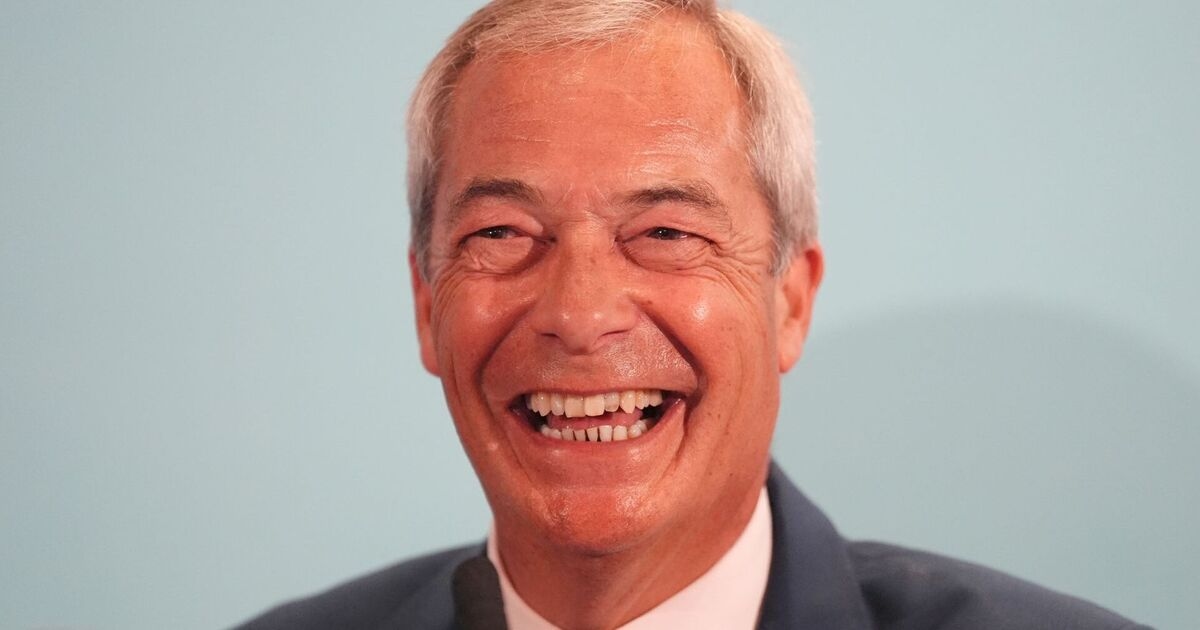 Nigel Farage could be rubbing his hands with glee at latest Elon Musk barb