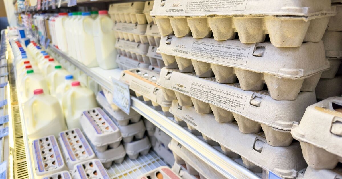 Nutritionist urges people to check little-known code on eggs before buying
