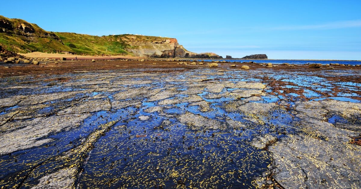 Beautiful beach where dinosaurs once walked is right next to a famous town