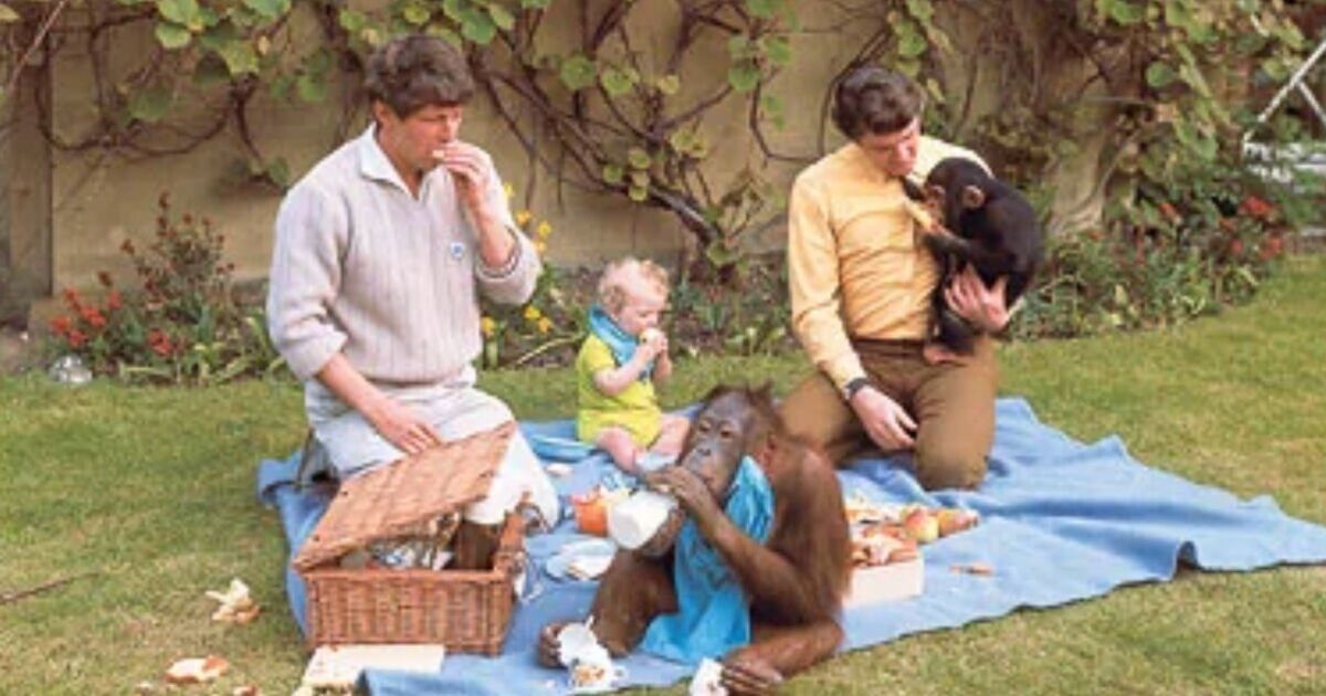Blue Peter baby's shame after BBC show 'adoption' and burglary horror