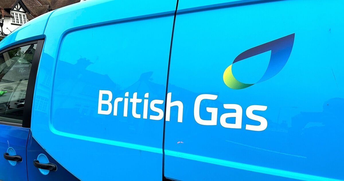 British Gas, EDF, EON and Octopus customers urged to take photo of meter before midnight
