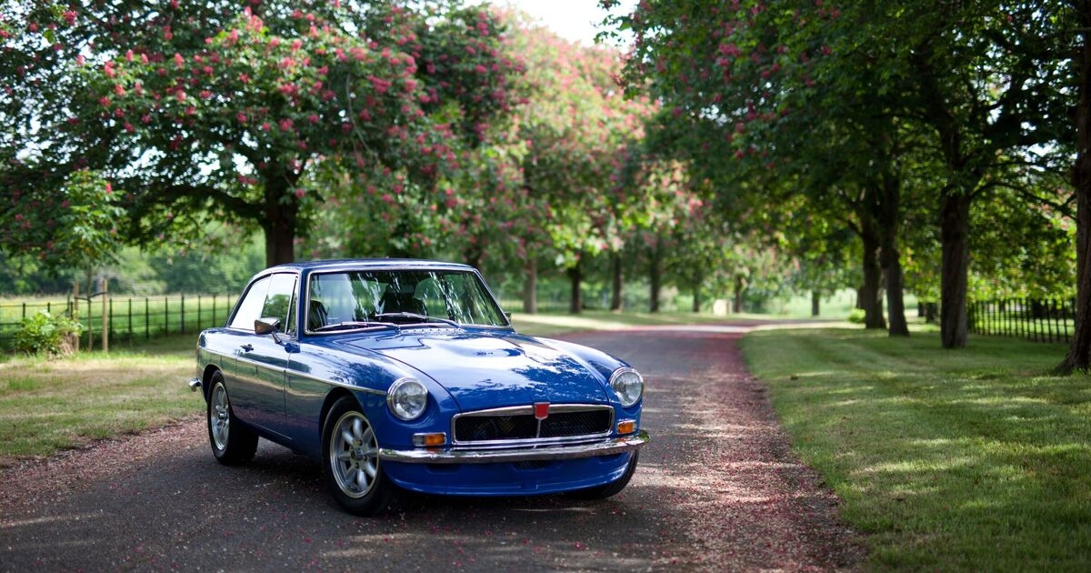 Ex-Wheeler Dealers host makes classic car prediction ahead of petrol and diesel car ban