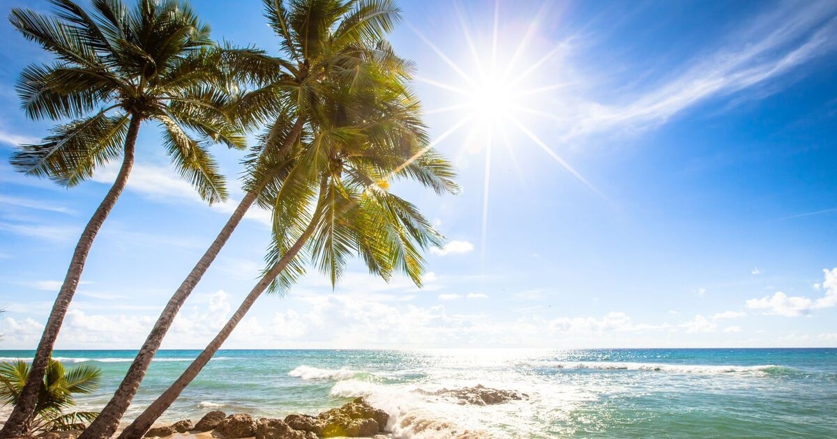 The 10 hottest places to go on holiday in November where temperatures don't drop below 21C