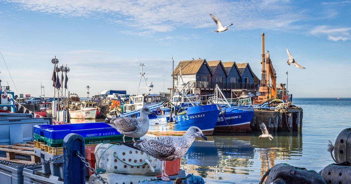 The pretty seaside town as good as Brighton but less famous