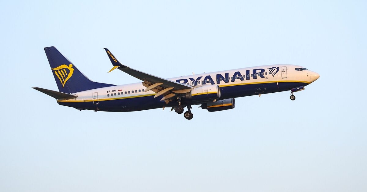 Ryanair flight takes off without 150 passengers as they're left stranded in France