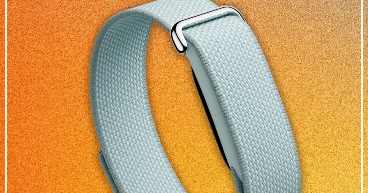 Google Fitbit Air review: Not the Fitbit you remember