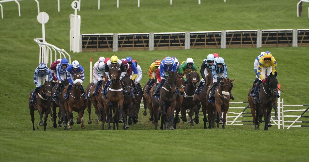 Cheltenham results LIVE: Day 3 tips and updates as Springwell Bay sadly dies