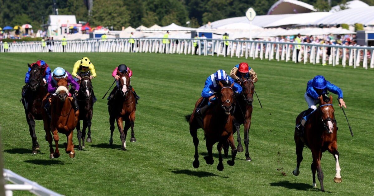 Risultati del Royal Ascot LIVE: suggerimenti e schede delle corse per il Ladies' Day con la Gold Cup in arrivo
