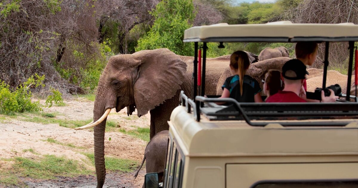 O 'melhor' safári da África com animais 'raros' e paisagens 'de tirar o fôlego'