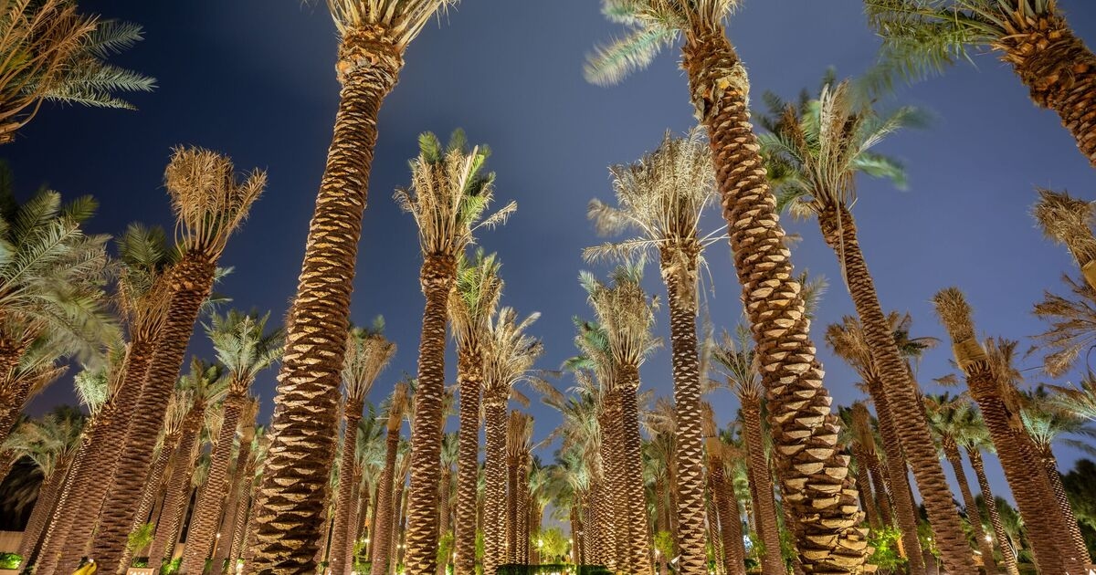 Inside the huge £46.7bn mega-project to host 50m tourists set to transform Saudi Arabia