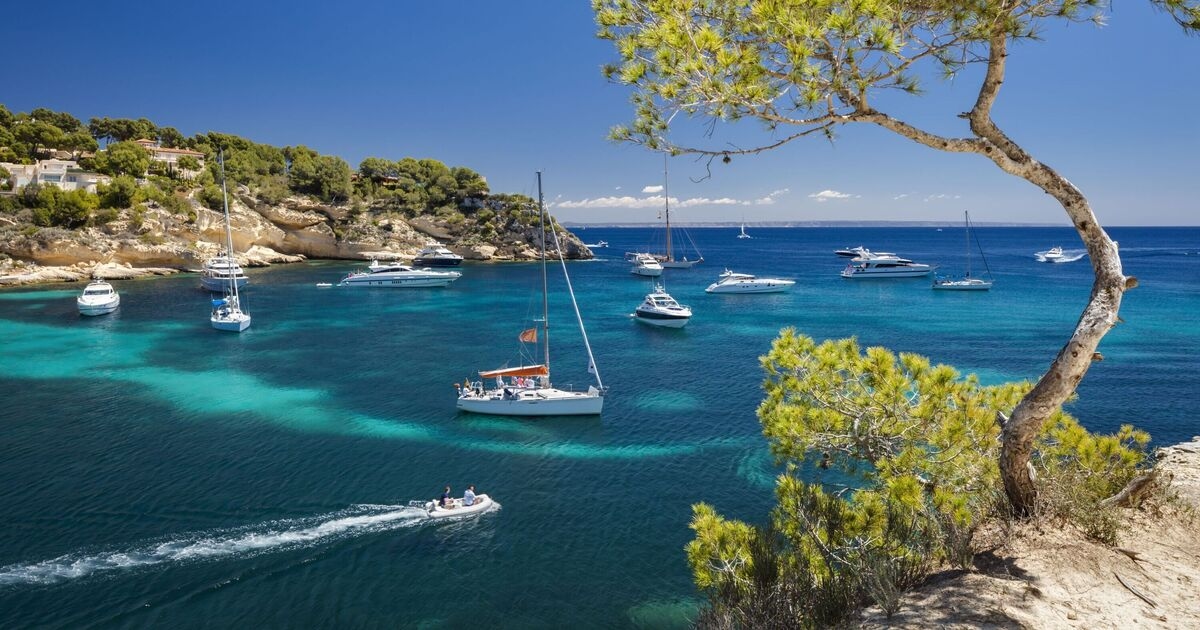 Panic in Majorca as plane crashes into the sea