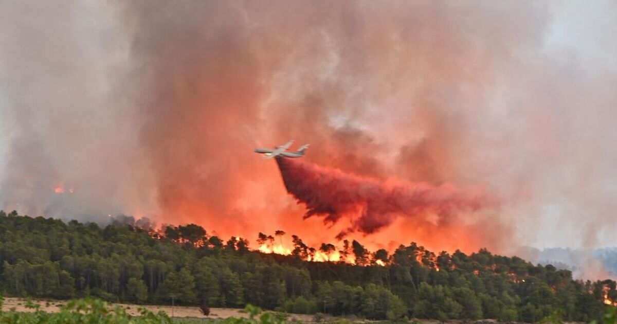 Incendies de forêt en France EN DIRECT : Des milliers de pompiers luttent contre un incendie plus grand que Paris