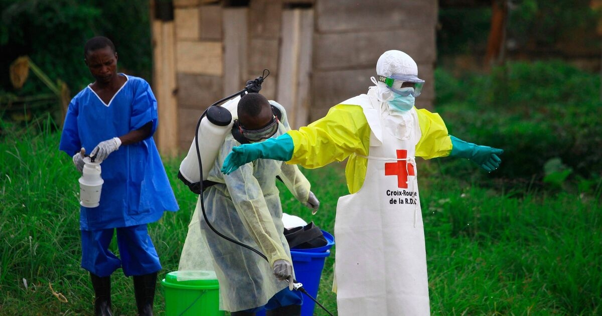 WHO declares Ebola outbreak a global health emergency after 80 deaths