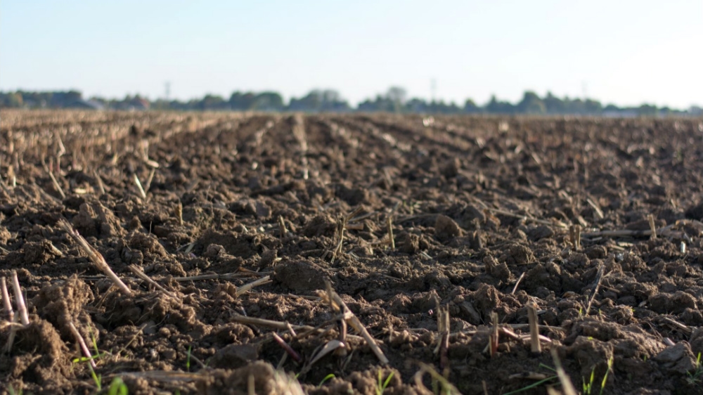 Czechia launches major biomethane support scheme