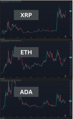 Which Altcoins Have Risen and How Much in Recent Days?