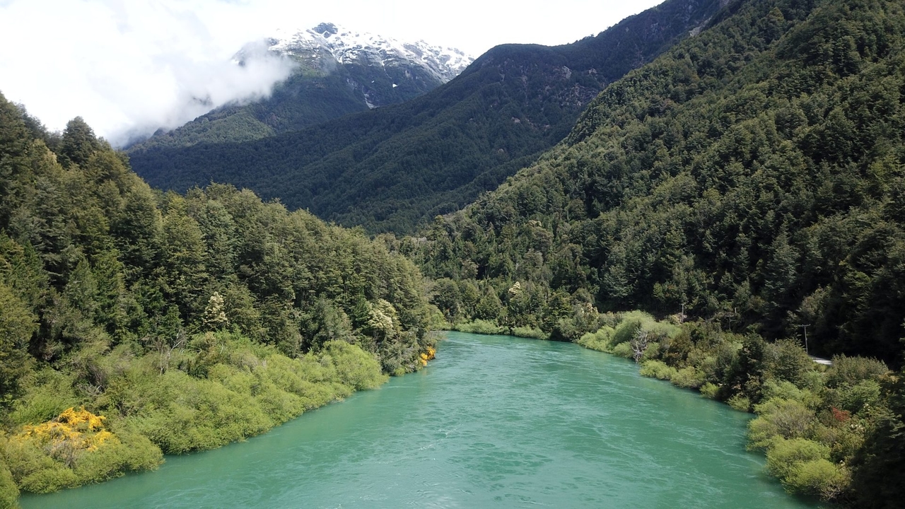 Día Mundial del Medioambiente: Instituciones y organizaciones ecologistas renuevan sus compromisos y demandas