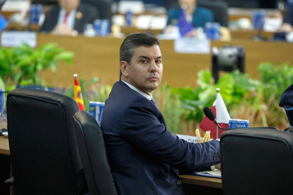 Peña uważa, że ​​europejskie prawo dotyczące wylesiania jest „niesprawiedliwe” wobec Paragwaju.