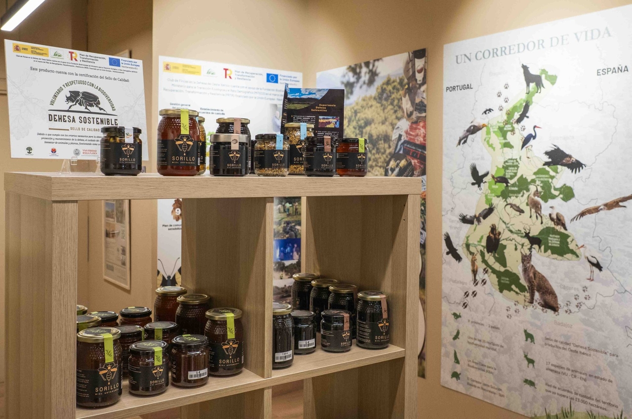 From the countryside to the city, the cross-border dehesa brings the value of biodiversity to the capital.