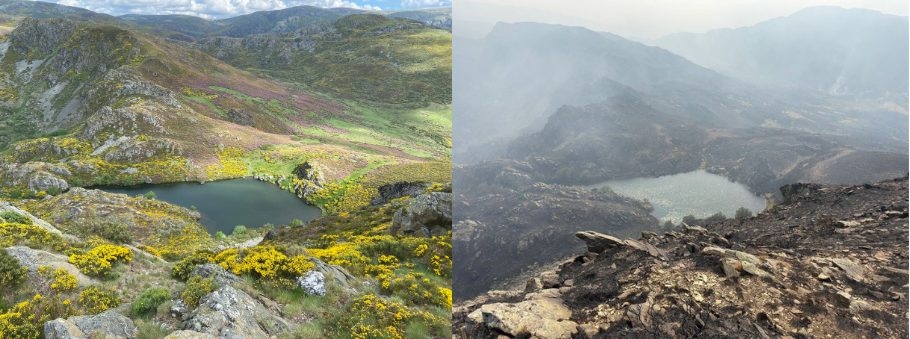 The Ourense Massif Central and Pena Trevinca, Sustainable Planet's environmental personality of the week