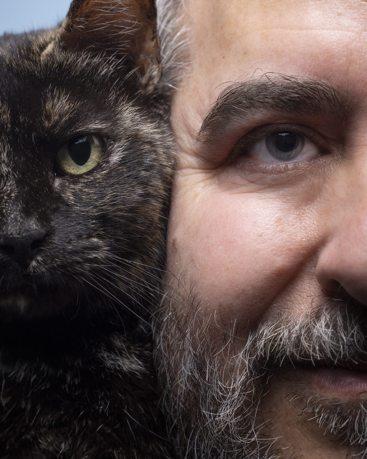 Koty niczyje: Społeczeństwo, które wciąż nie rozumie swoich niewidzialnych sąsiadów. Autor: Fernando Ocaña / reżyser filmu „Saving Furry Friends”