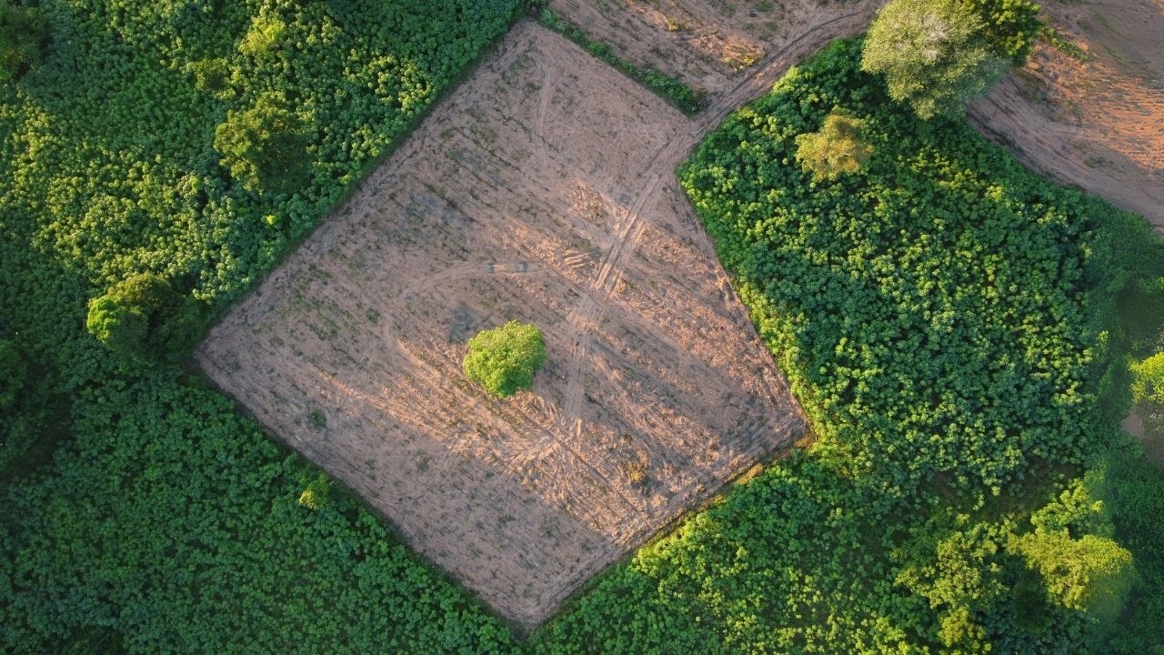 A despedida do agricultor de sua terra é um convite ao grande capital?