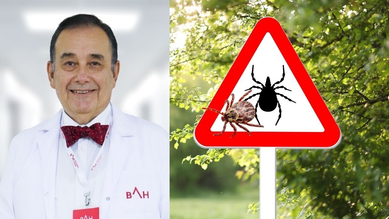 Yaz aylarında kene alarmı! Kene yapışırsa ilk bunu yapın! Uzmanından hayat kurtaran tavsiyeler