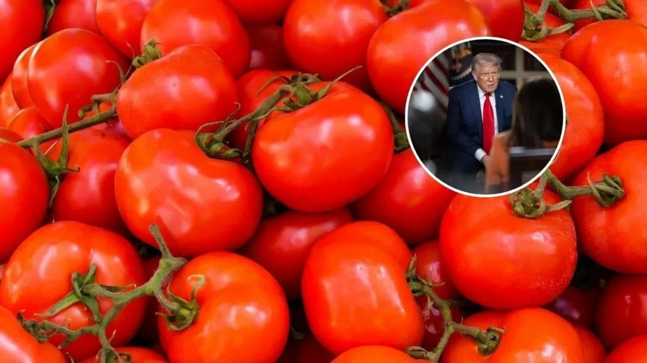Pomodori messicani con dazi: Chicago risentirà dell'impatto sui prezzi