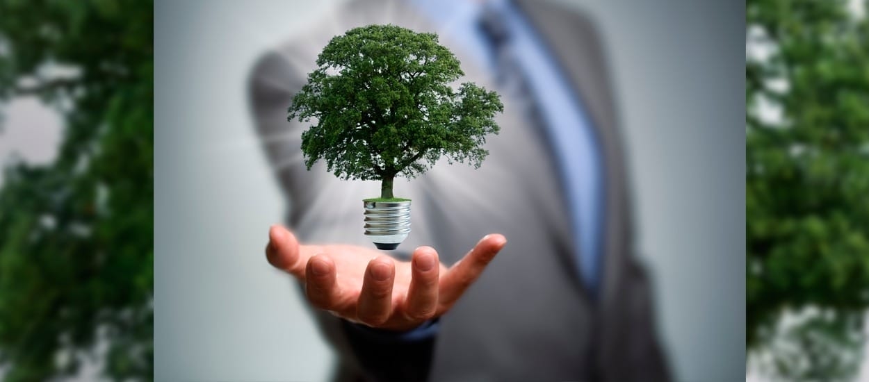 Environment and sustainability