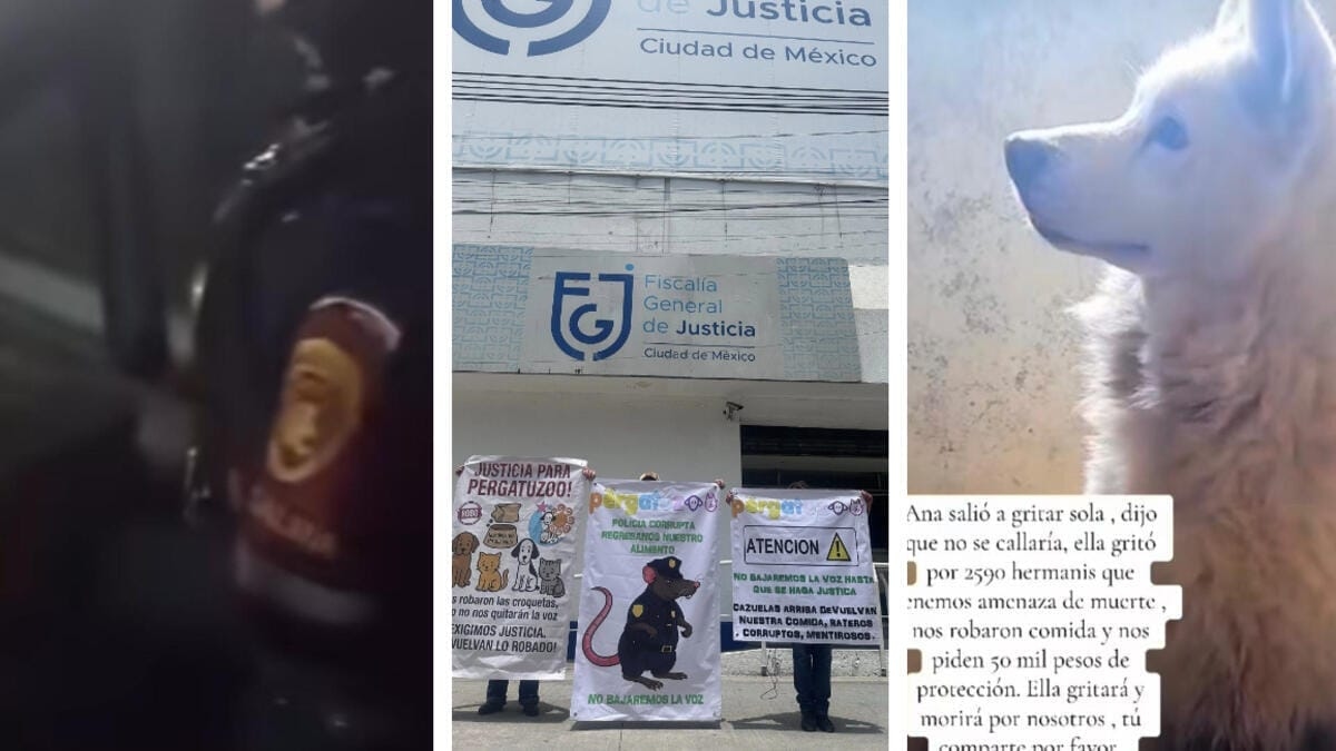 Pergatuzoo-zaak: regering van Mexico-Stad onder druk vanwege afpersingscrisis